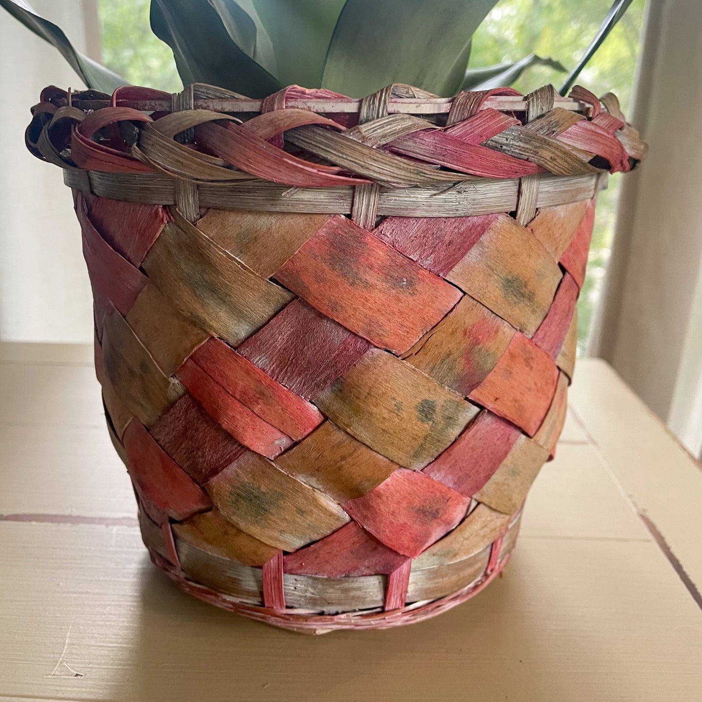Multi Color Wicker Planter Basket