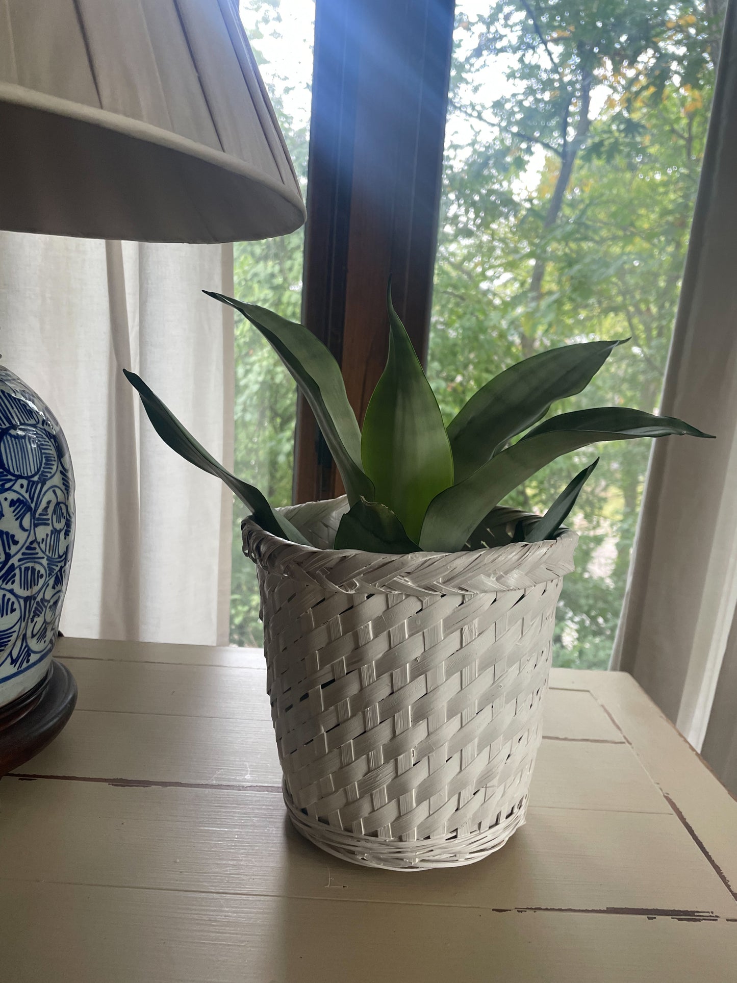 White Wicker Planter Basket