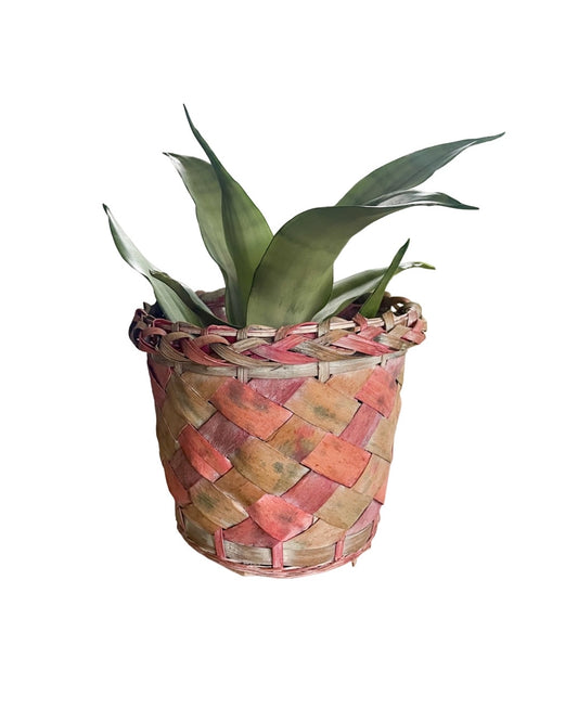 Multi Color Wicker Planter Basket