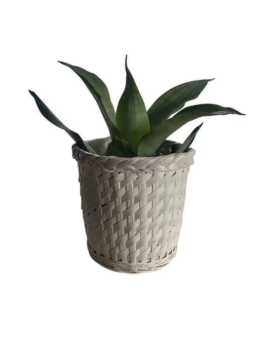 White Wicker Planter Basket