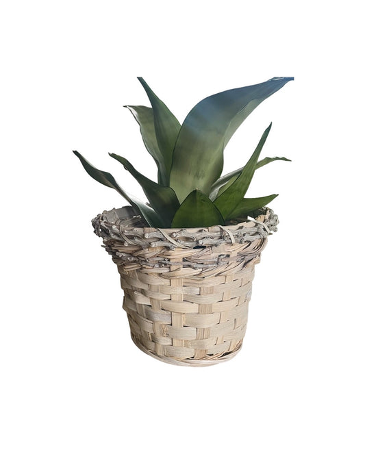 White Wicker Planter Basket