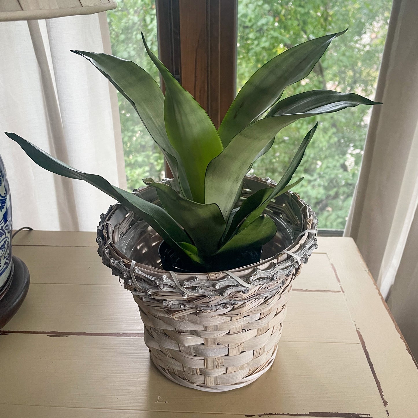 White Wicker Planter Basket